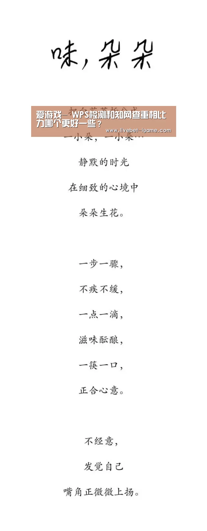 爱游戏-
WPS检测和知网查重相比力哪个更好一些？