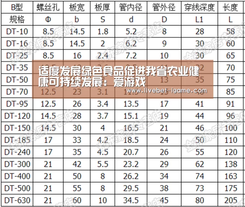 APP入口