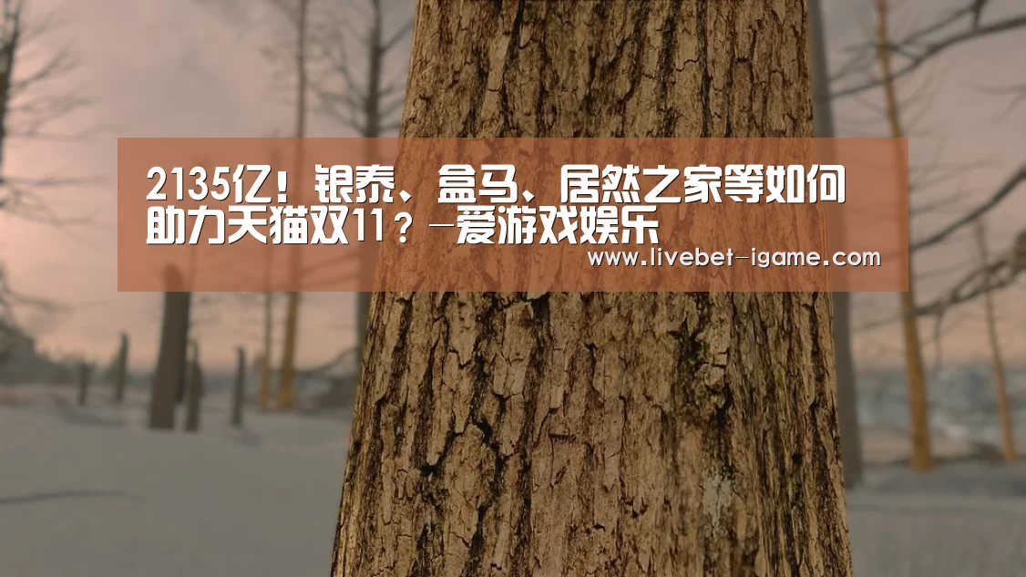 2135亿！银泰、盒马、居然之家等如何助力天猫双11？-爱游戏娱乐