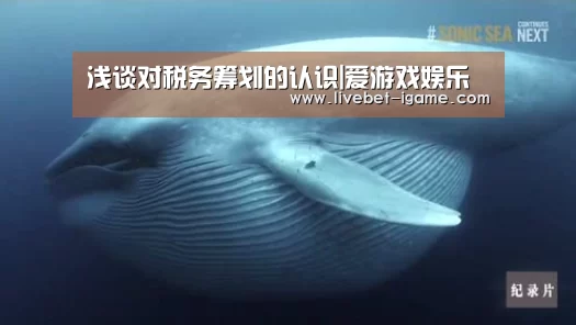 浅谈对税务筹划的认识|爱游戏娱乐