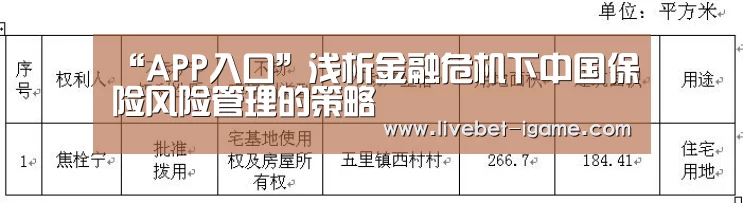 “APP入口”浅析金融危机下中国保险风险管理的策略