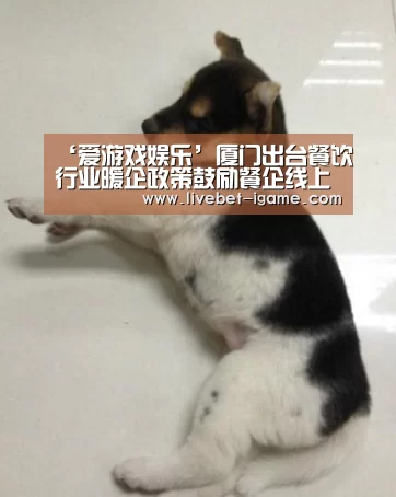 爱游戏体育官网