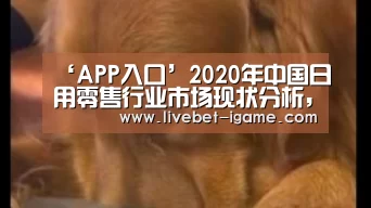 ‘APP入口’2020年中国日用零售行业市场现状分析,名创优品的崛起之路(图4) 爱游戏