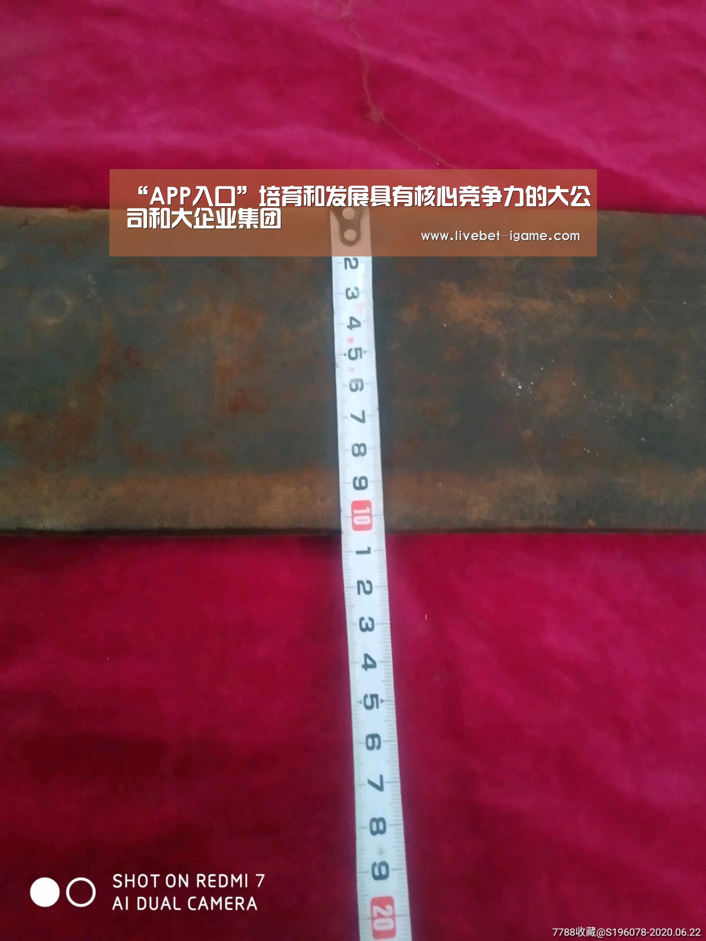 “APP入口”培育和发展具有核心竞争力的大公司和大企业集团