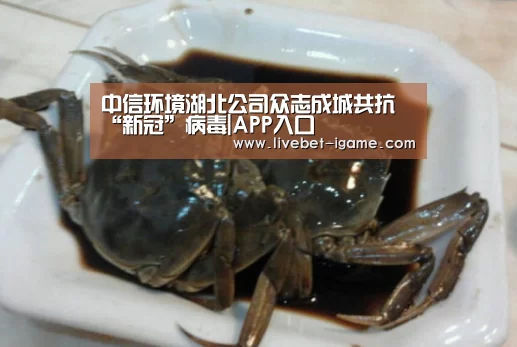 APP入口