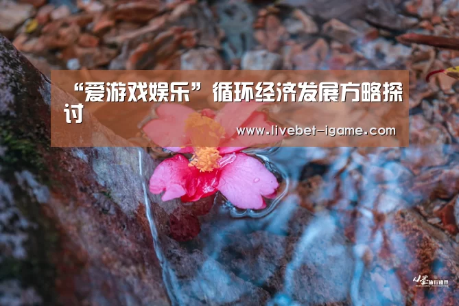 爱游戏体育官网