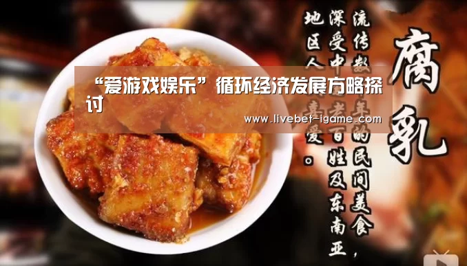 “爱游戏娱乐”循环经济发展方略探讨