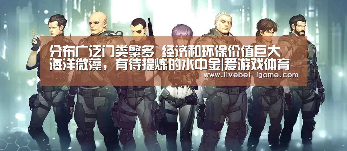 APP入口