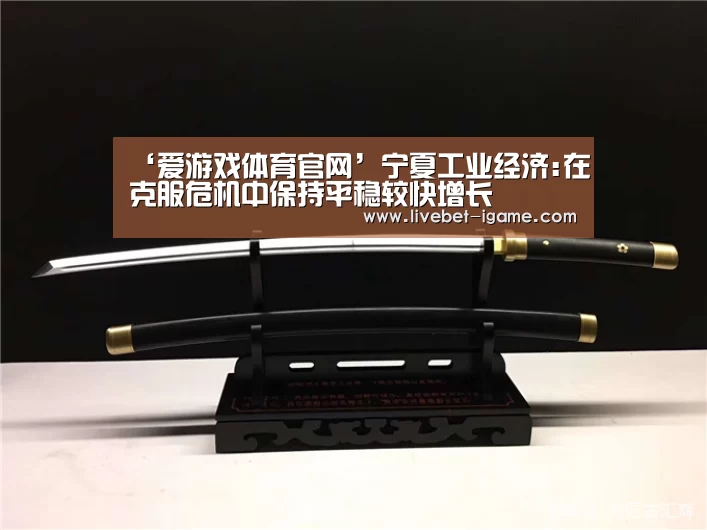 ‘爱游戏体育官网’宁夏工业经济:在克服危机中保持平稳较快增长