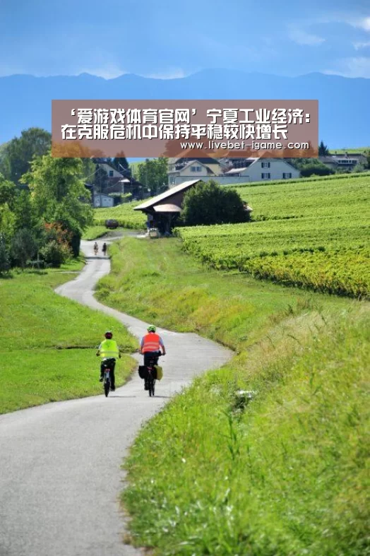 爱游戏