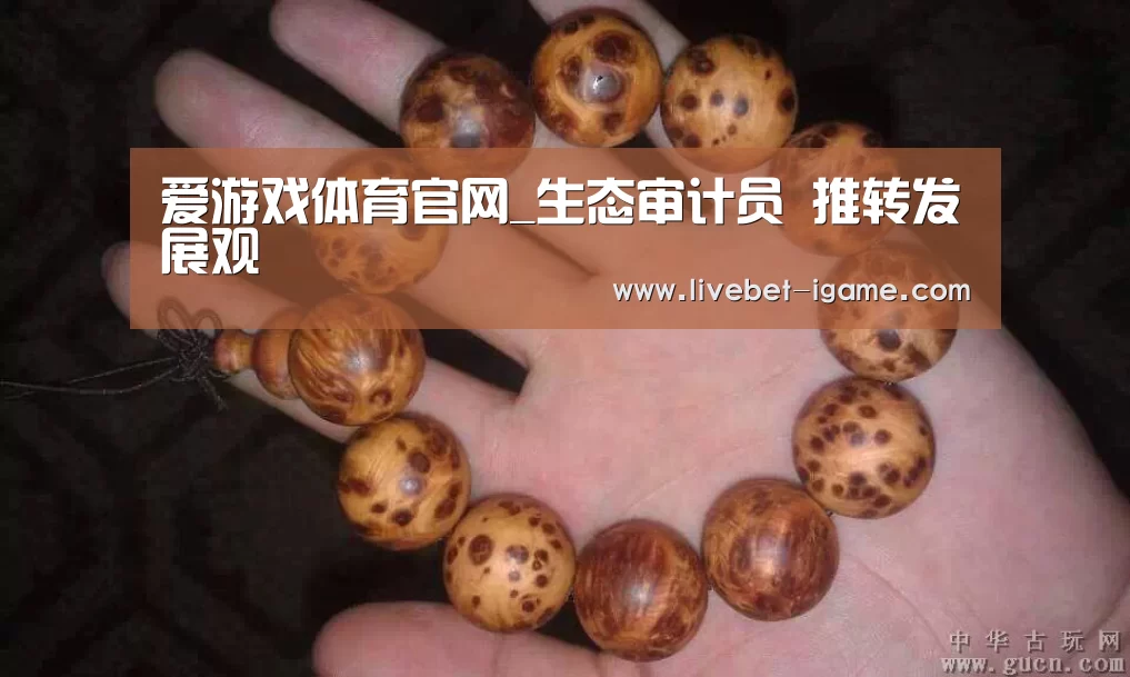 爱游戏体育官网
