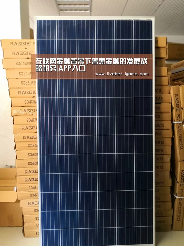 互联网金融背景下普惠金融的发展战略研究|APP入口