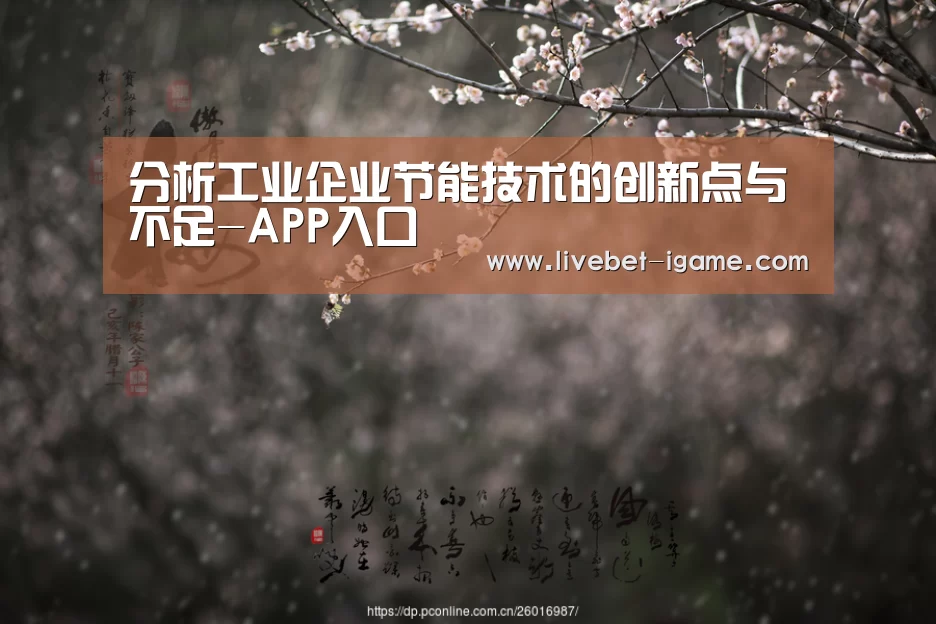 分析工业企业节能技术的创新点与不足-APP入口