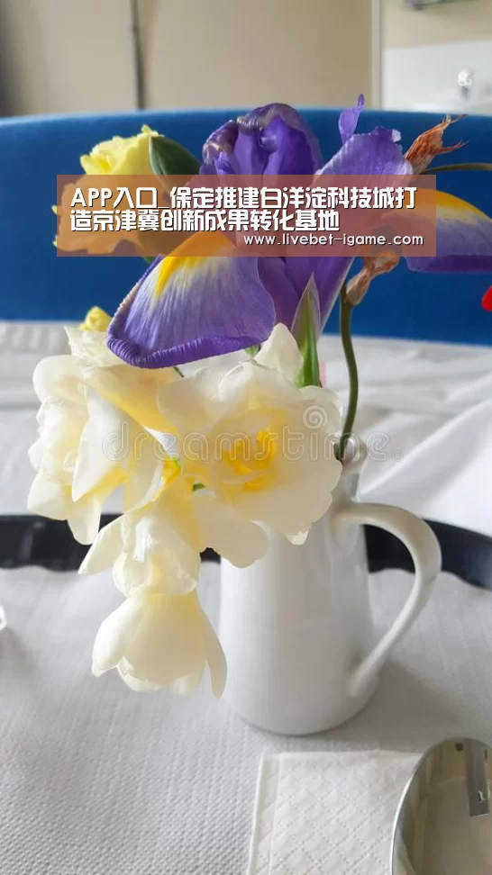 爱游戏娱乐